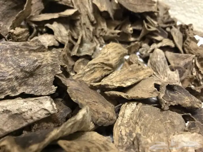 عود طبيعي بورمي فاخر مليء بالدهن 2