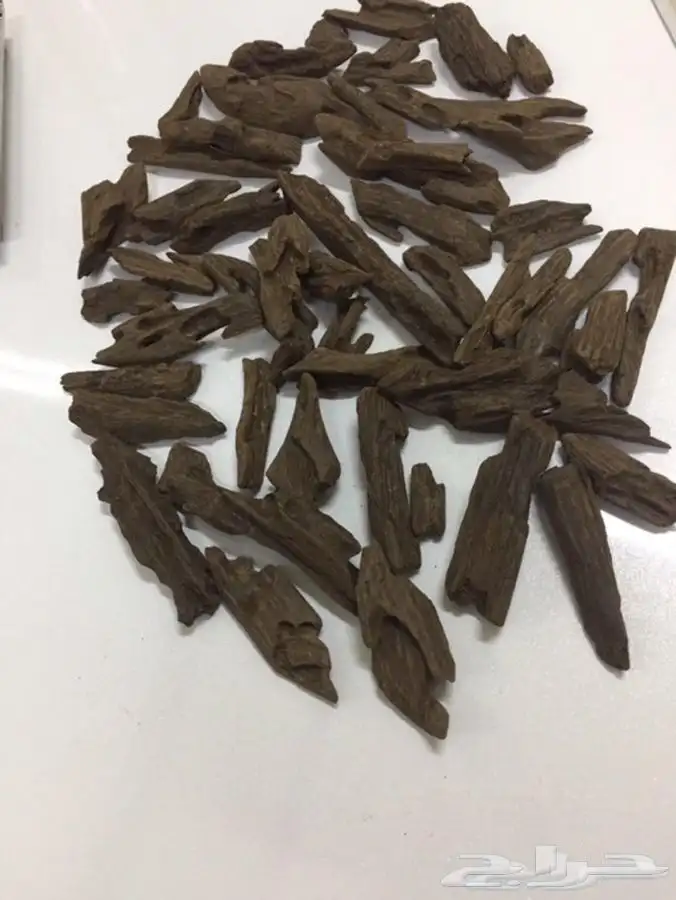 عود بخور فاخر اليوم ب 550 ريال بدلا من 650 ريال 2