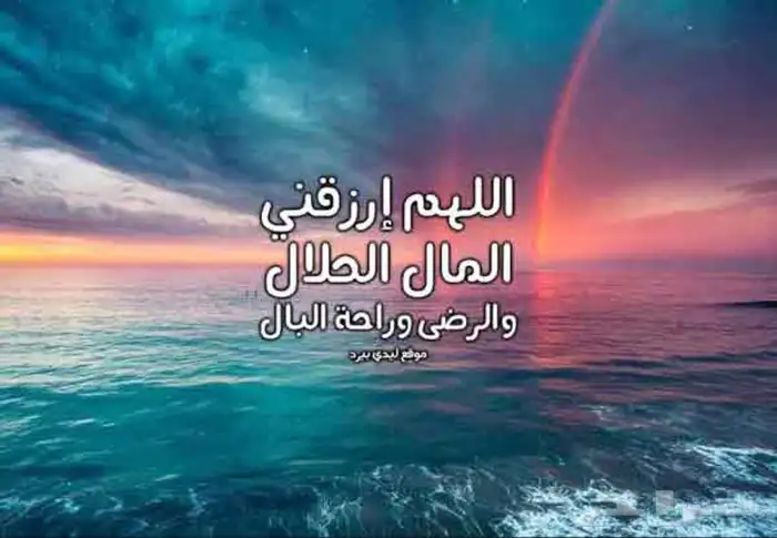 فحص وكشف سيارات. جده - مكه - الطايف-ثول -رابغ 3