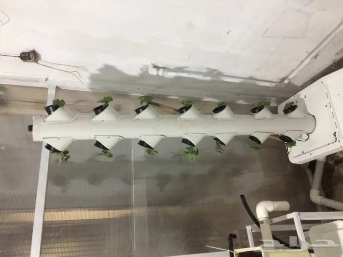 بيوت محمية زراعة مائية 5