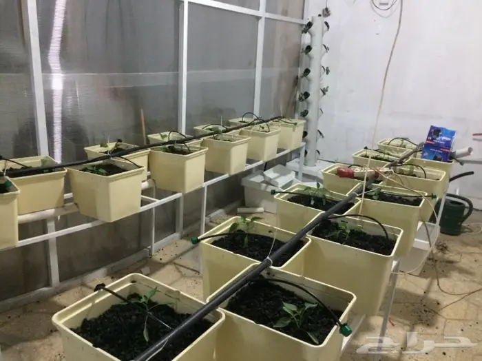 بيوت محمية زراعة مائية 8