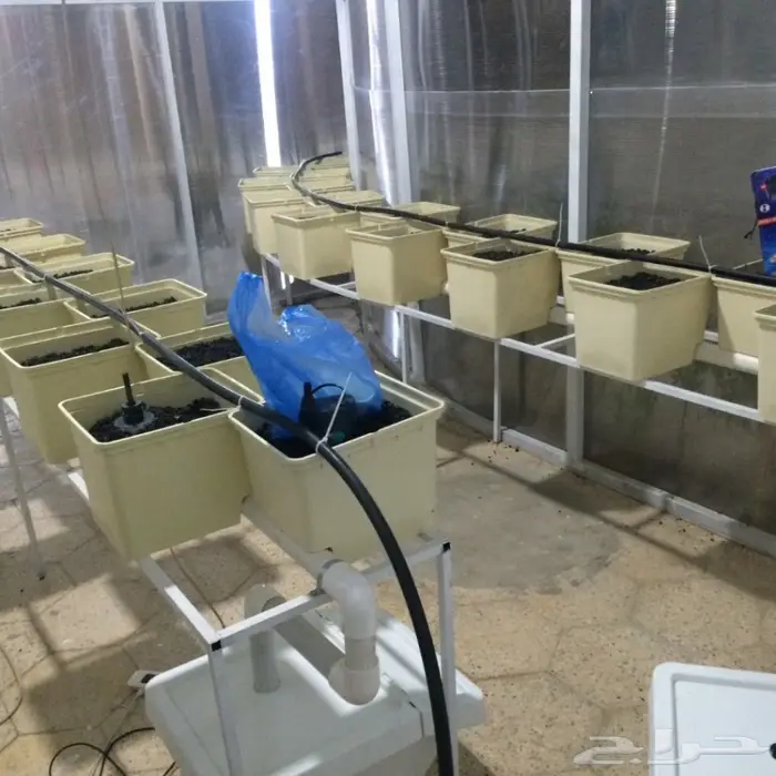 بيوت محمية زراعة مائية 4