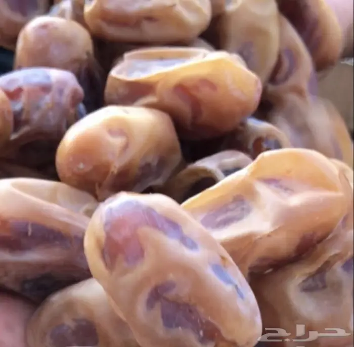 تمر خلاص حساوي حبة كبيرة اشقر انتاج السنة 3