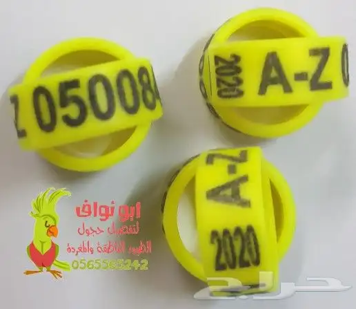 فتخه حجل حجول اساور طيور حمام بغبغاء 7