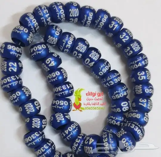 فتخه حجل حجول اساور طيور حمام بغبغاء 15