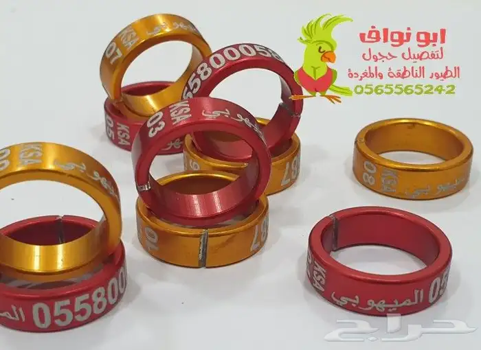 فتخه حجل حجول اساور طيور حمام بغبغاء 16