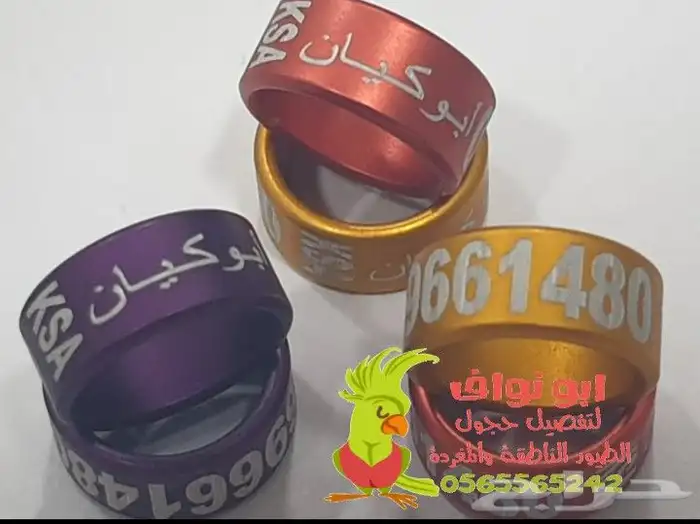 فتخه حجل حجول اساور طيور حمام بغبغاء 19