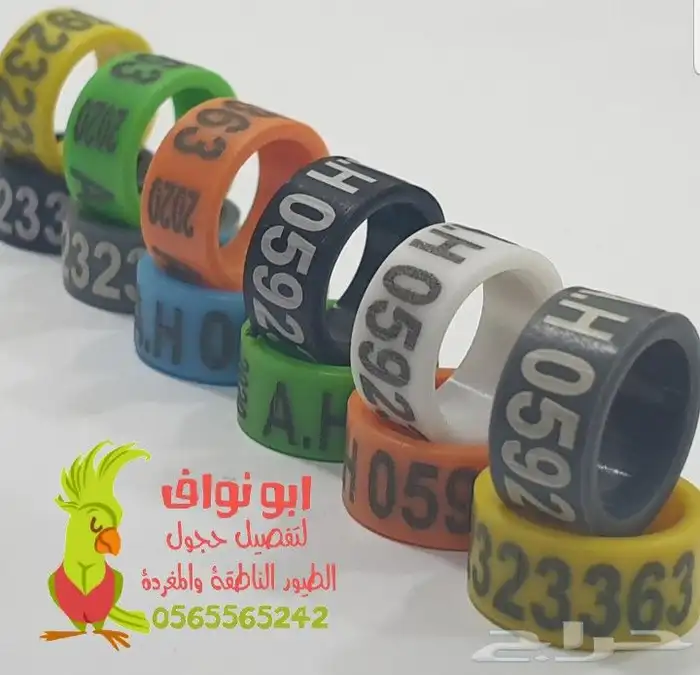 فتخه حجل حجول اساور طيور حمام بغبغاء 20
