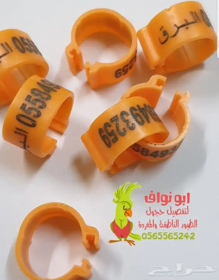 فتخه حجل حجول اساور طيور حمام بغبغاء 23