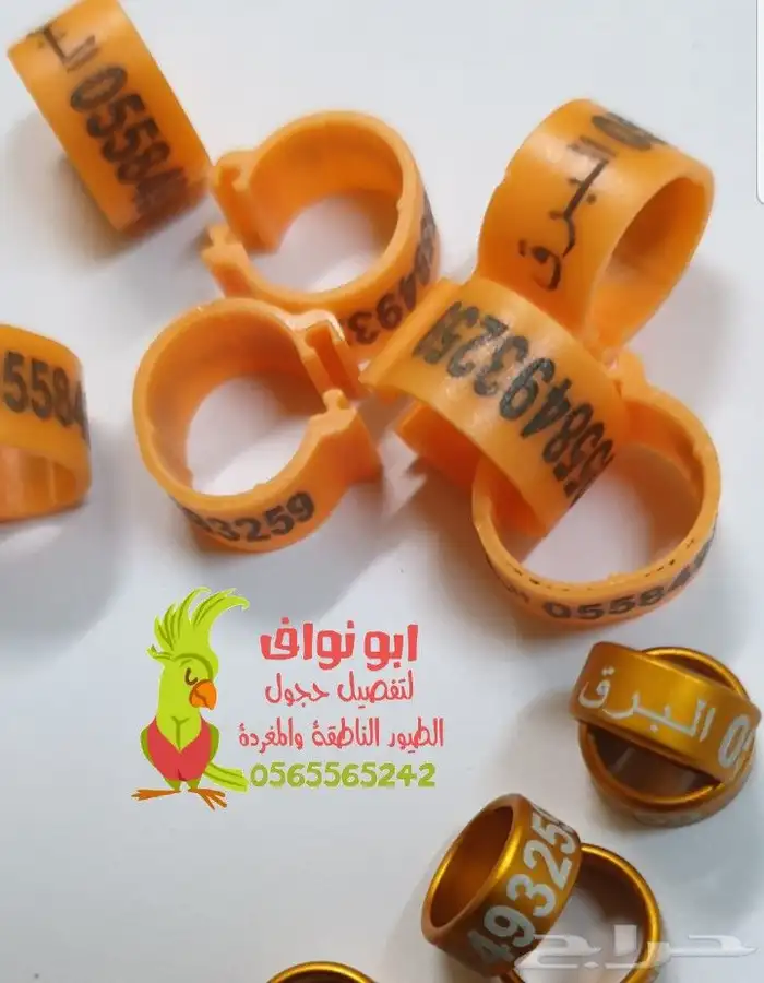 فتخه حجل حجول اساور طيور حمام بغبغاء 21
