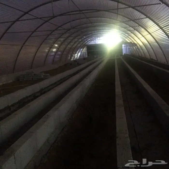 بيوت محمية زراعة مائية 10