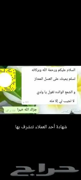 عسل بلدي ومستورد بجميع أنواعه زيت زيتون الجوف 31