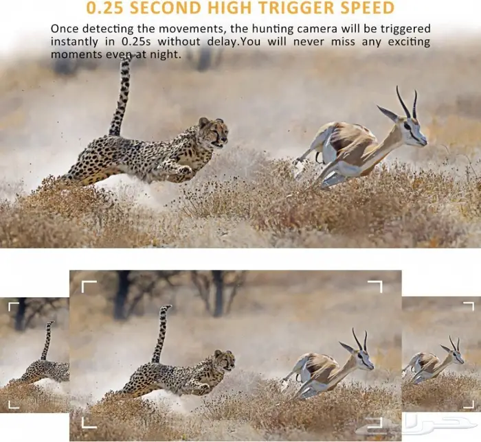 راعي بر وهاوي اكتشاف عيونك التي لاتنام 5