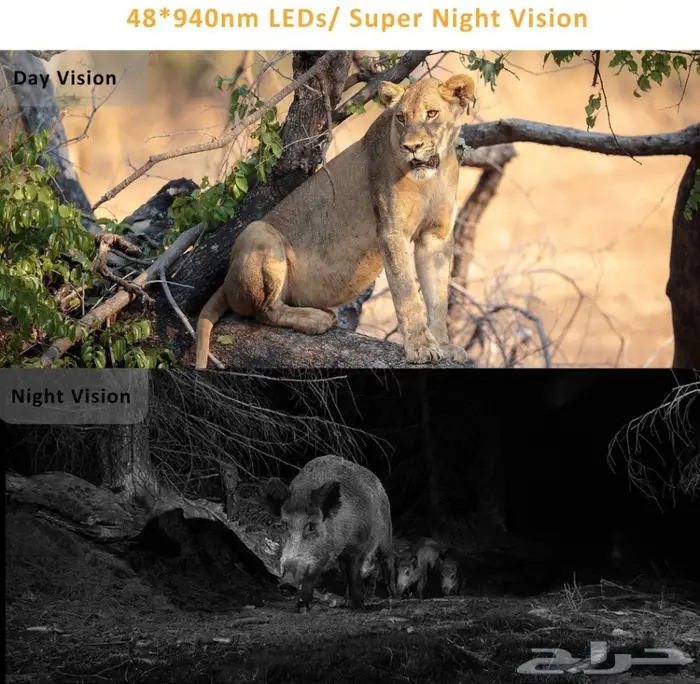 راعي بر وهاوي اكتشاف عيونك التي لاتنام 4