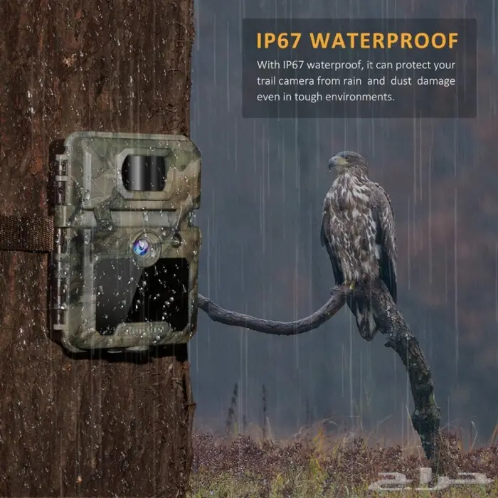 راعي بر وهاوي اكتشاف عيونك التي لاتنام 3