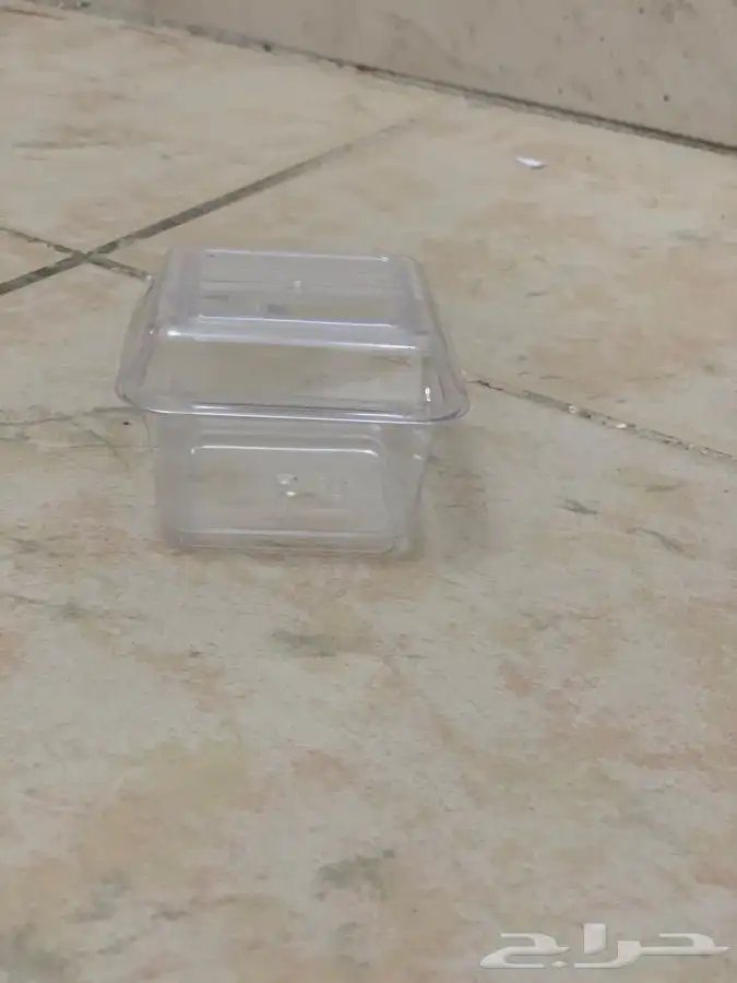 علب بلاستيك تصلح لتوزيع الحلويات 0