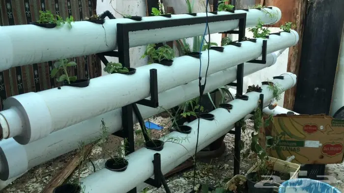 بيوت محمية زراعة مائية 12