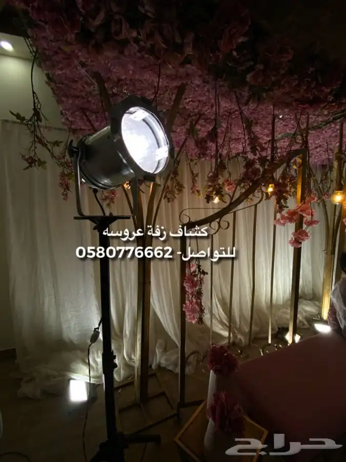 كشاف عروسه للايجار 0