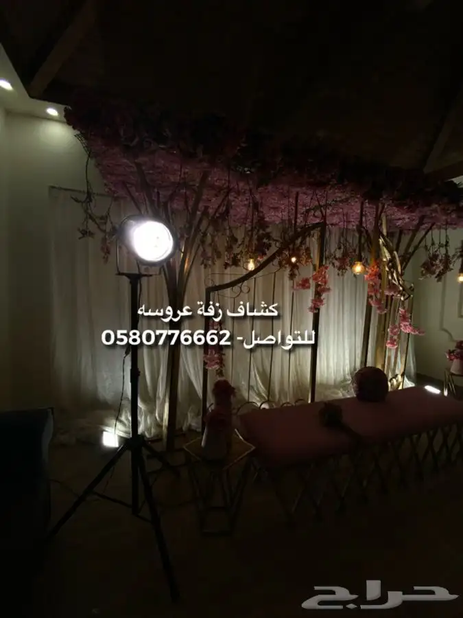 كشاف عروسه للايجار 1