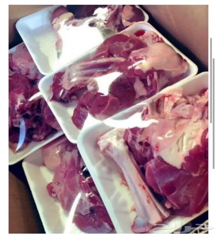 هرفي مع خدمه الذبح والتوصيل 3