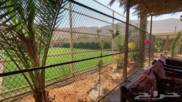 شاليهات للايجار 32