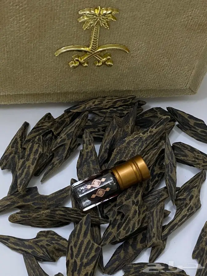 عود لاوسي طبيعي دبل سوبروعودماليزي تايجر 4