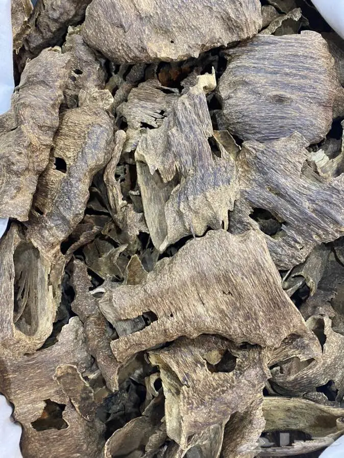 عود لاوسي طبيعي دبل سوبروعودماليزي تايجر 0