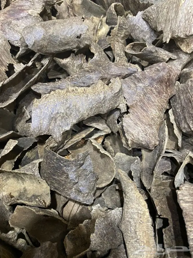 عود لاوسي طبيعي دبل سوبروعودماليزي تايجر 3