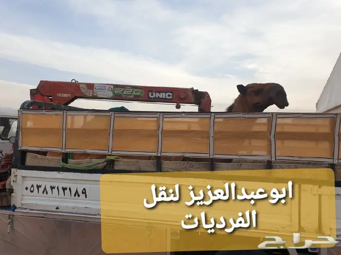 دنا ونش نقل ابل ومكائن وسحب دكات  0