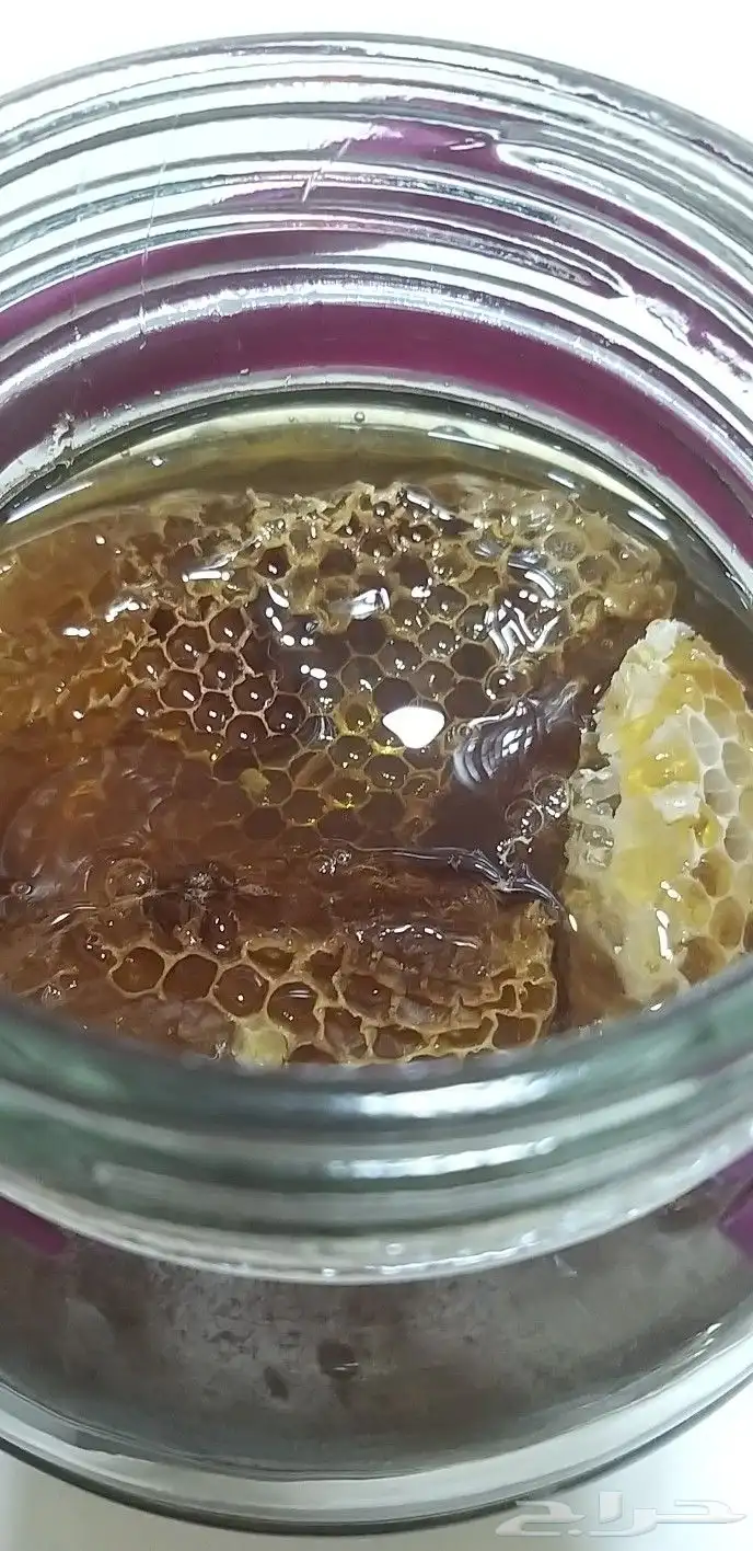 سمن العلامة التجارية الذهبية 11