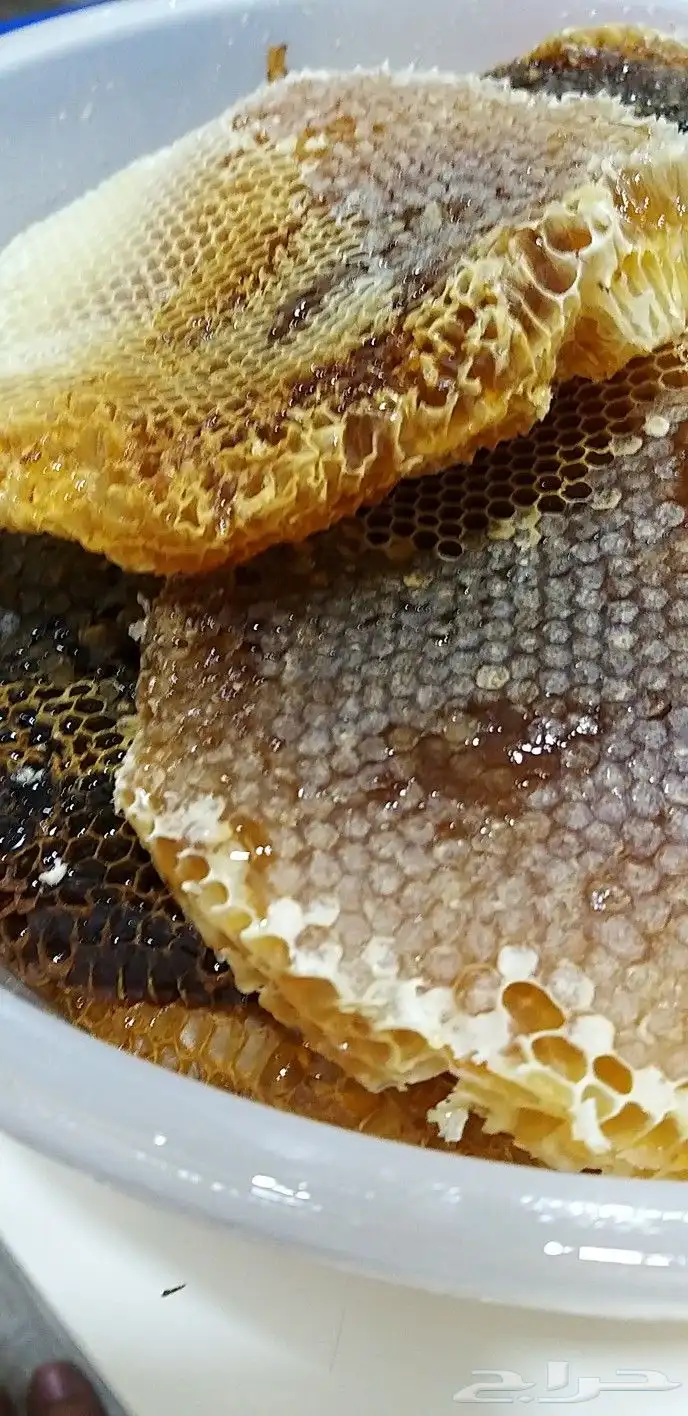 سمن العلامة التجارية الذهبية 15