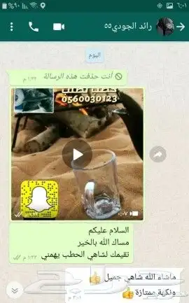 شاهي حطب 11