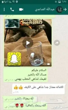 شاهي حطب 15