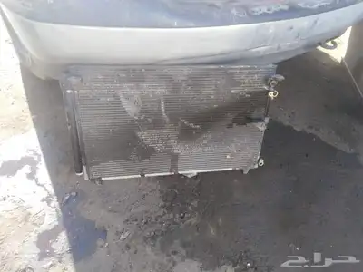جنبينات لكزس 11