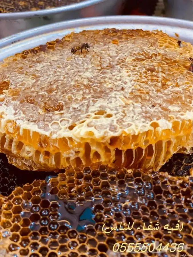 عسل سمر طلح مع سدر شمع وصافي 3