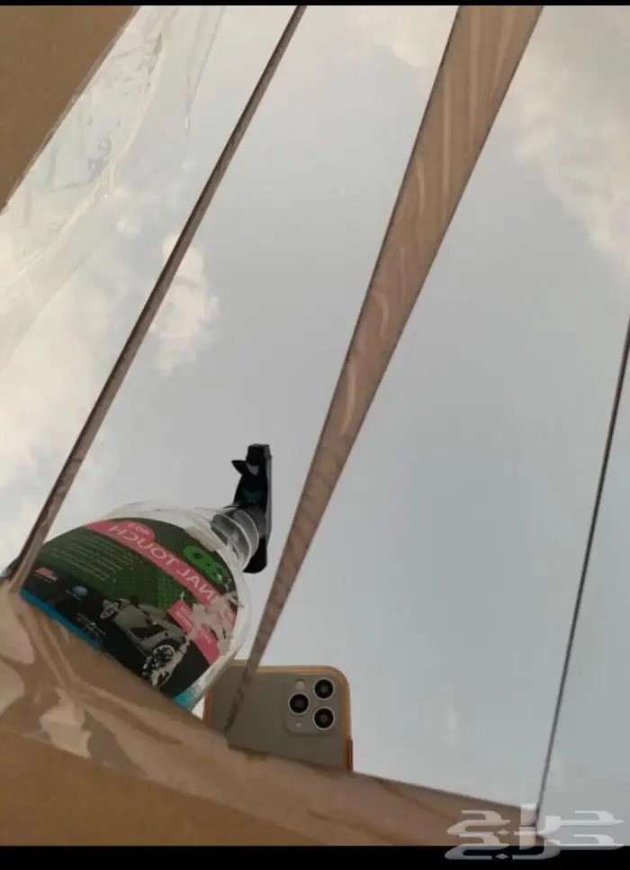 كتوف لنكون - ماركيز - فكتوريا 0