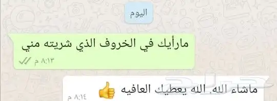 تيوس _خرفان _حري _بلدي للبيع الموقع العارضه 1