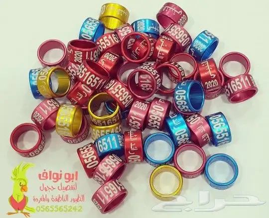 تحليل DNA لطيور والببغاء في اقوى المختبرات العالمية 3