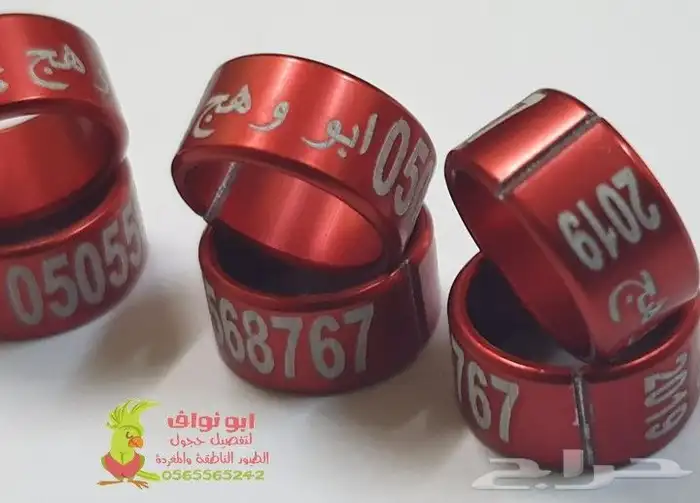 تحليل DNA لطيور والببغاء في اقوى المختبرات العالمية 7