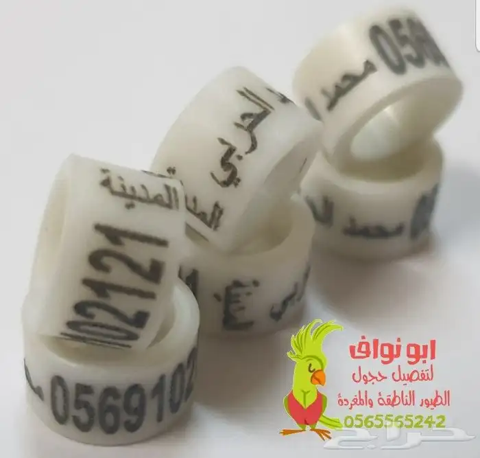 تحليل DNA لطيور والببغاء في اقوى المختبرات العالمية 10