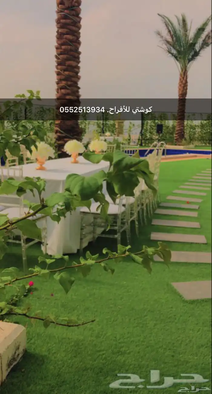 كراسي شفاف و ذهبي نبليون للايجار 3