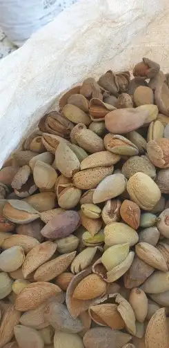 اللوز البجلي بقشر وبدون قشر وزبيب الحماط 2