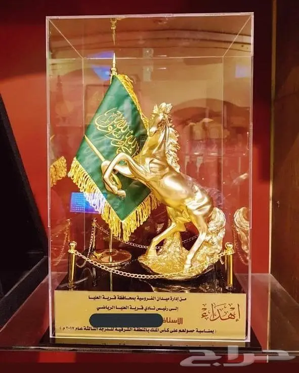دروع ومجسمات 22