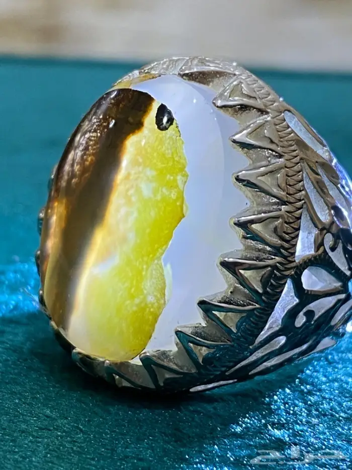 خاتم عقيق شجري مصور طبيعي للباحثين عن مصورات 5