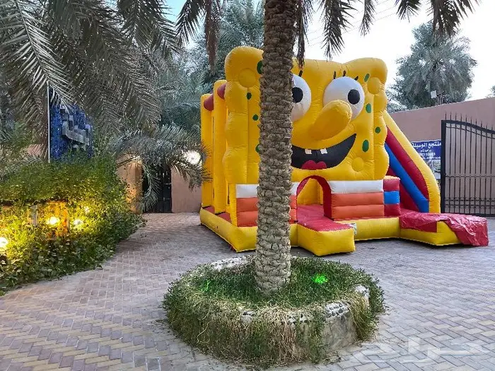 زحاليق ونطيطات الاحساء 0