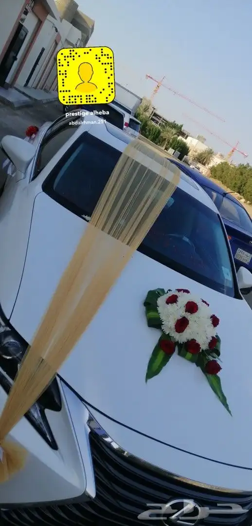 تشريع سيارات عرسان 2