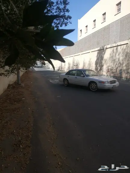 مبيوع الله يبارك له 16