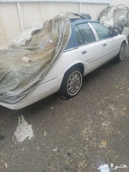 مبيوع الله يبارك له 3