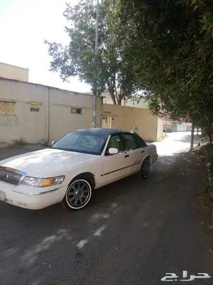 مبيوع الله يبارك له 19
