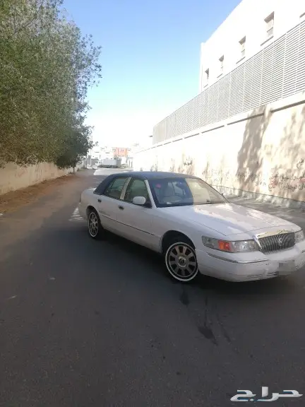 مبيوع الله يبارك له 12